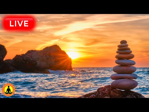 Relaxing Zen Music 247 Stress Relief Music Sleep Music Meditation Music Study Calming Music