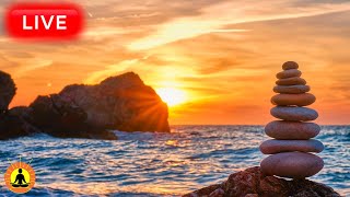 🔴 Relaxing Zen Music 24/7, Stress Relief Music, Sleep Music, Meditation Music, Study, Calming Music screenshot 4