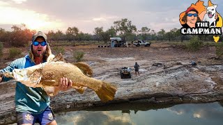 Big CROC with cow @ camp...BIG BARRA to go with..