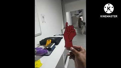 Mano robótica equipada con visión artificial para realizar lenguaje de señas