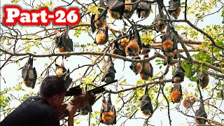 It's amazing how many bats there are on this stem part-28