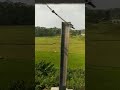 #Tere Mere Darmiyaan 😍#Love❤️#Nature lover🌱💚#Nature's view😍