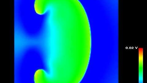 Computational Modeling of Cardiac Arrhythmia in 2D - Isotropic Domain