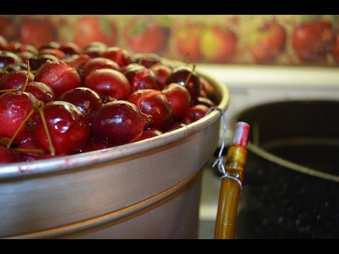 Grandma Sylvia Show Episode 9: Crabapples