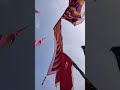 🚩 10th Muharram in Kolkata #maroofanawazahmed #viralvideo #trendingshorts #trend #viral