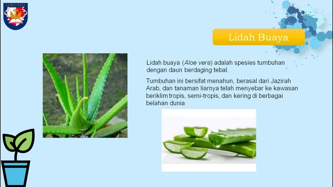 Pengolahan Makanan Awetan Dari Bahan Nabati 