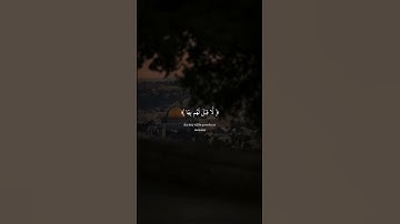 اسلام صبحي قران كريم بصوت جميل #اكسبلور #لايك #قران_كريم #راحة_نفسية #اسلام_صبحي