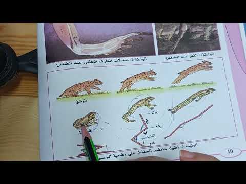 المنع العضلي علوم طبيعية والحياة للسنة الثانية ثانوي