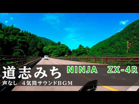 音一ページ Kawasaki NINJA ZX-4R カーボン製SC1-S スリップオン