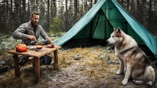 Hot Ten Camping in Nature | Hiking in the Pine Forest