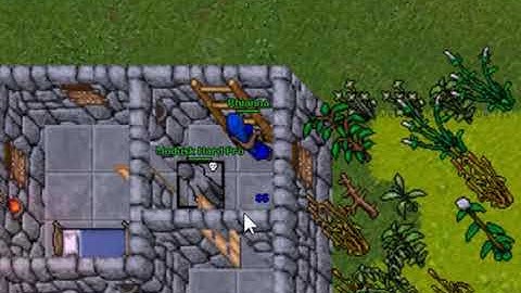 CYCATRIZ PUSH DASH + MOUSE AND PUSH TRAPS;