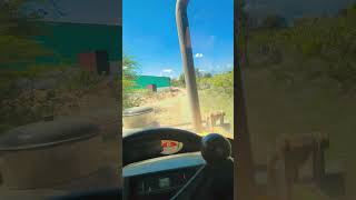 #viralvideo #Uon