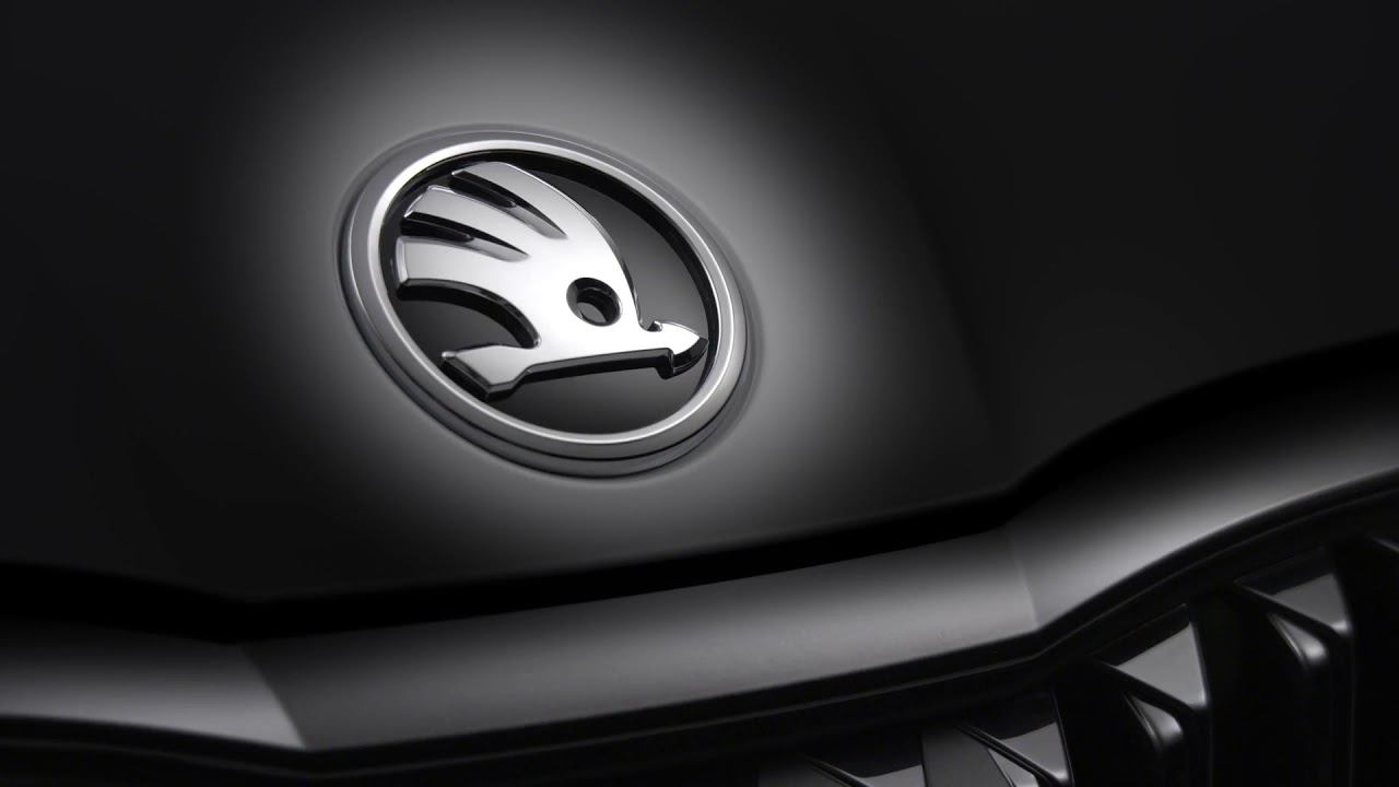 Надпись skoda octavia