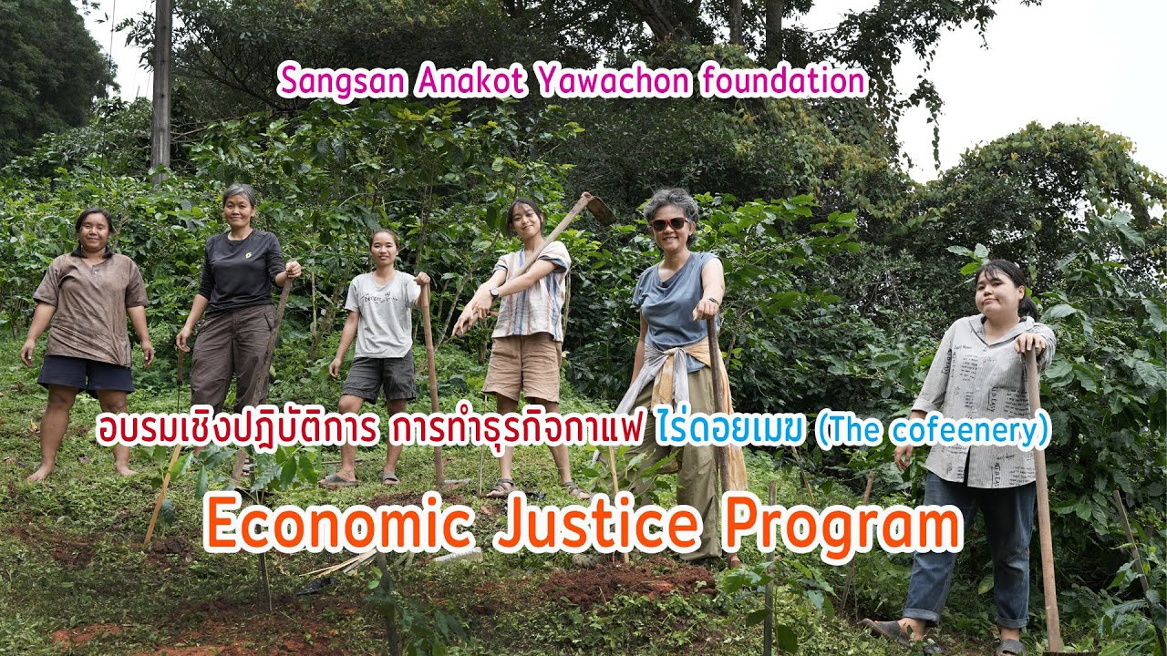 สารคดีการศึกษาดูงานกาแฟ ณ ไร่ดอยเมฆ (พานาคอฟฟี่)