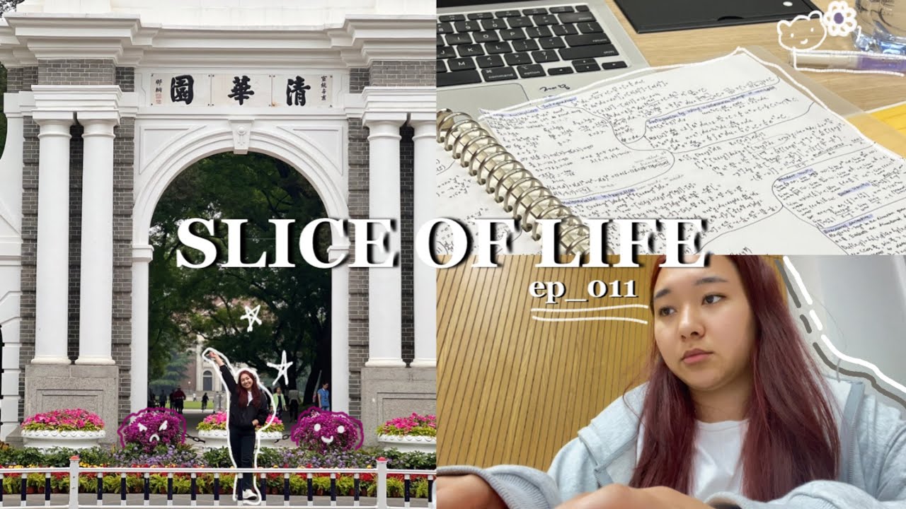 SLICE OF LIFE || повседневная жизнь студента в Китае, университет ...