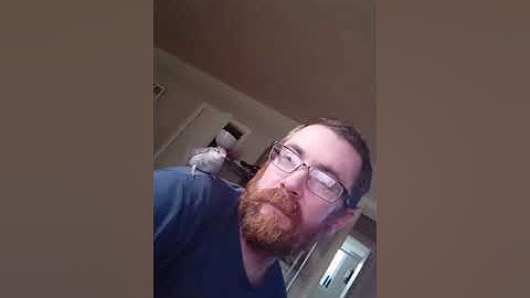 Fledgling House Sparrow