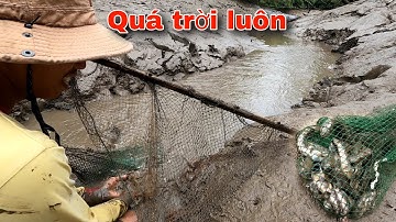 Đi một chút cá ăn không hết cách bắt cá nhanh gọn lẹ | GĐCG #957