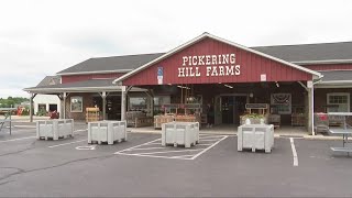 19-year-old worker struck by vehicle at Avon farmers market