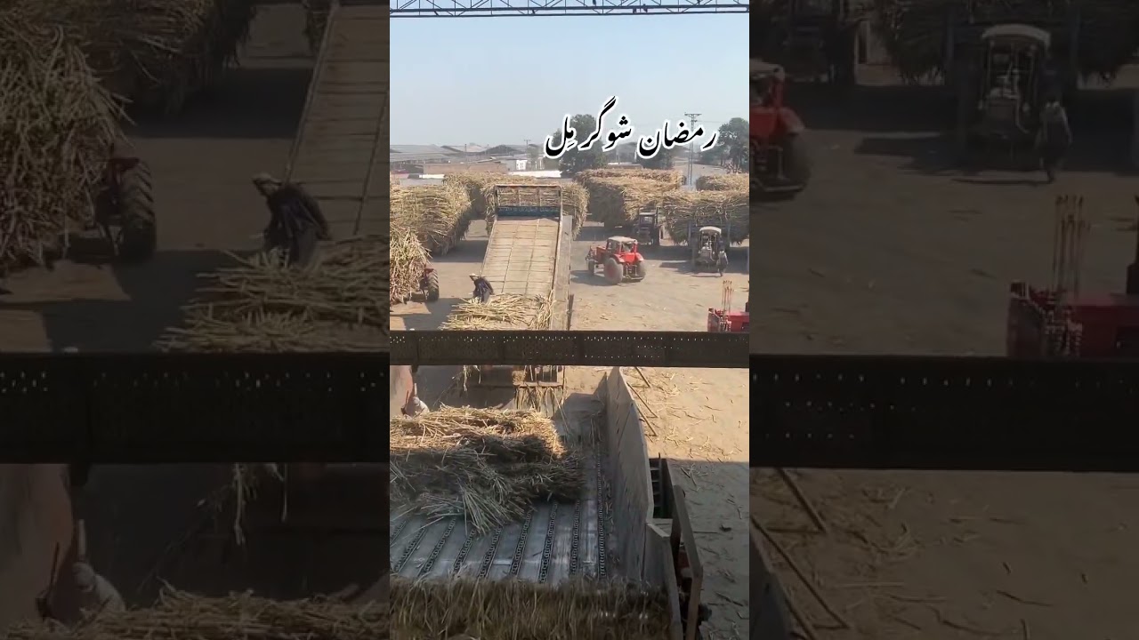 Ramzan sugar mill video 