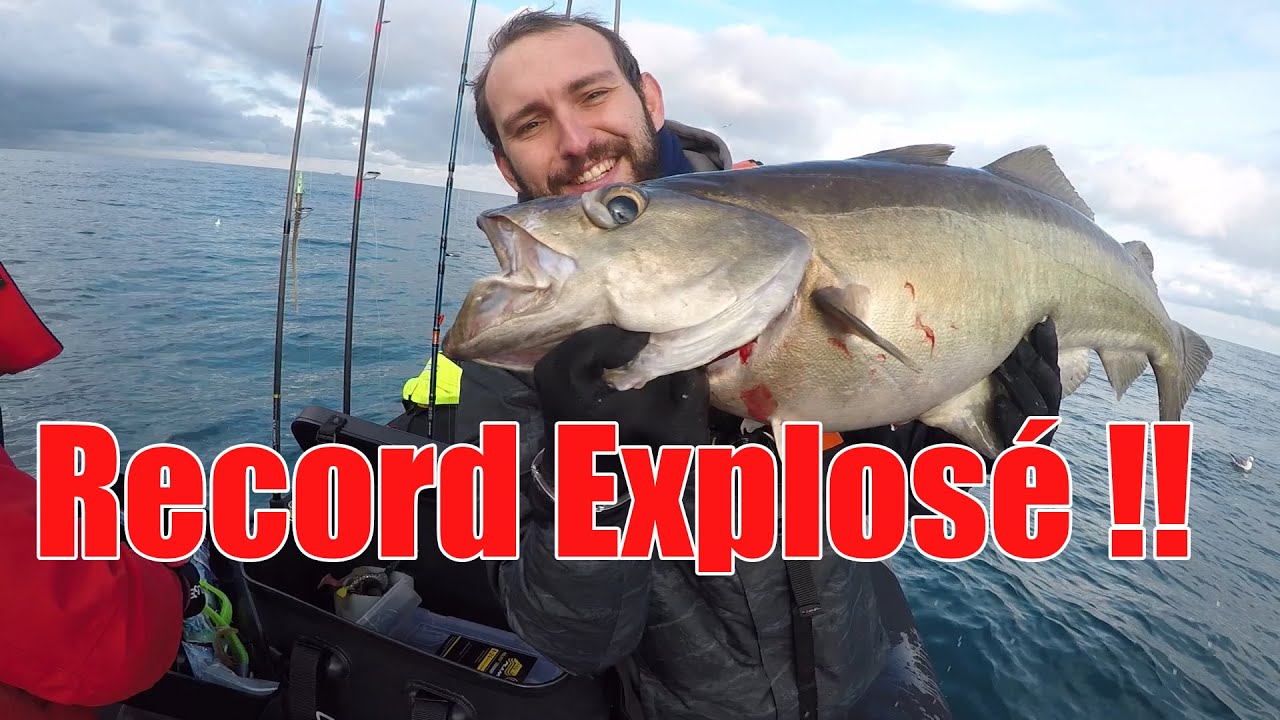 J'EXPLOSE MON RECORD !!! Et une énorme surprise en fin de journée 😲😲 Pêche du lieu jaune aux leurres