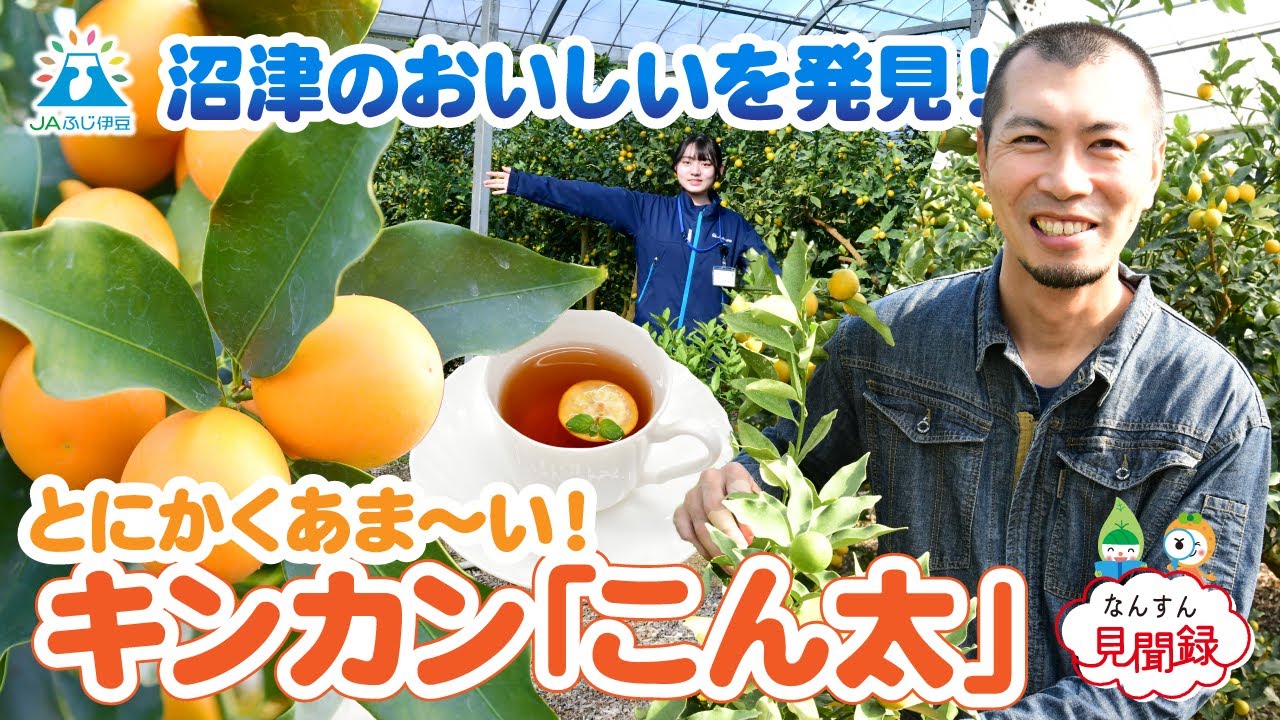 なりごん なんすん見聞録】沼津のおいしいを発見！とにかくあま～い！キンカン