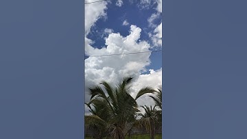 Cloud#trendingshorts #trending #viralshort #shortsfeed