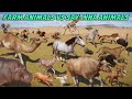 100 Animals VS 100 Animals in Planet Zoo All Episodes, Included Elephant, Giraffe Live Stream #45