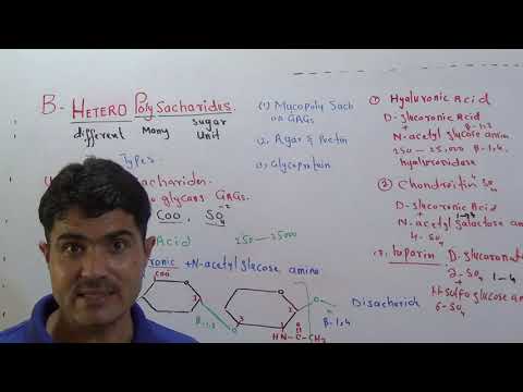 Heteropolysacharides  and its Types Lecture#6 || GAGs | Mucopolysacharides with structure in ENGLISH