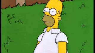 Homer disappears into bushes