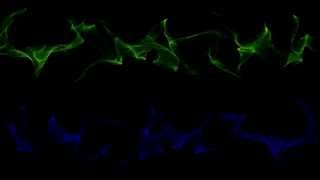 Trapcode Form - Audio React [Leon]
