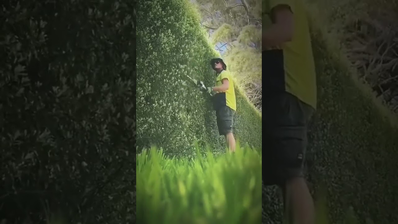 Hedge TrimmingGet the crispest edges in the neighborhood with Jim's Mowing! Our professional hedge