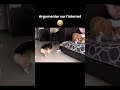 😅Argumenter sur l'internet #shorts #chien