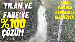 BU YÖNTEMİ UYGULAYIN BAHÇENİZE YILAN VE FARE KESİNLİKLE GİREMEZ.. Resimi