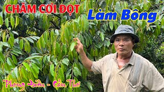 ANH KHÁ CHĂM SÓC CƠI ĐỌT CHUẨN BỊ LÀM BÔNG - TẬP 1