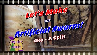 Let's Make an Artificial Swarm!  aka  A Split