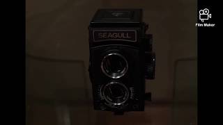 Seagull medium format camera