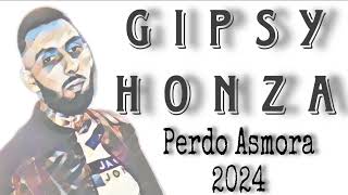 Gipsy Honza   Perdo Asmora 2024 Cover G S
