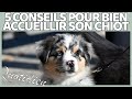 5 CONSEILS POUR BIEN ACCUEILLIR UN CHIOT