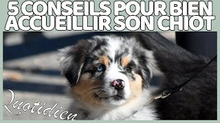 5 CONSEILS POUR BIEN ACCUEILLIR UN CHIOT