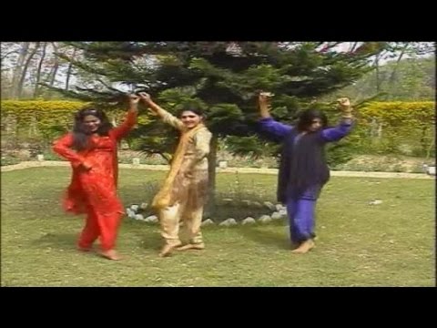 Draver Halaka Wagma Pashto Regional Song With Dance