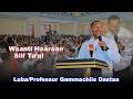 Waanti Haaraan Siif Ta A Luba Professor Gammachiis Dastaa 