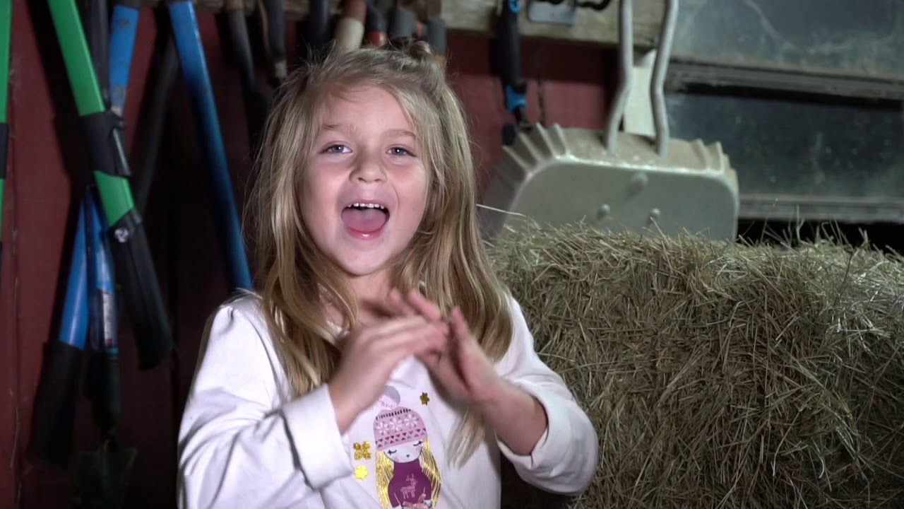 Five Year Old Riley shares about Views of the Manger in a barn - YouTube
