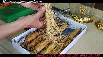 Sâm tươi Hàn Quốc - rượu sâm hàn quốc