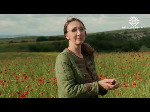 Торговая марка teaRa