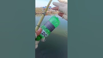 Mồi Rô Phi Giả #fishing #fish #cauca #shorts