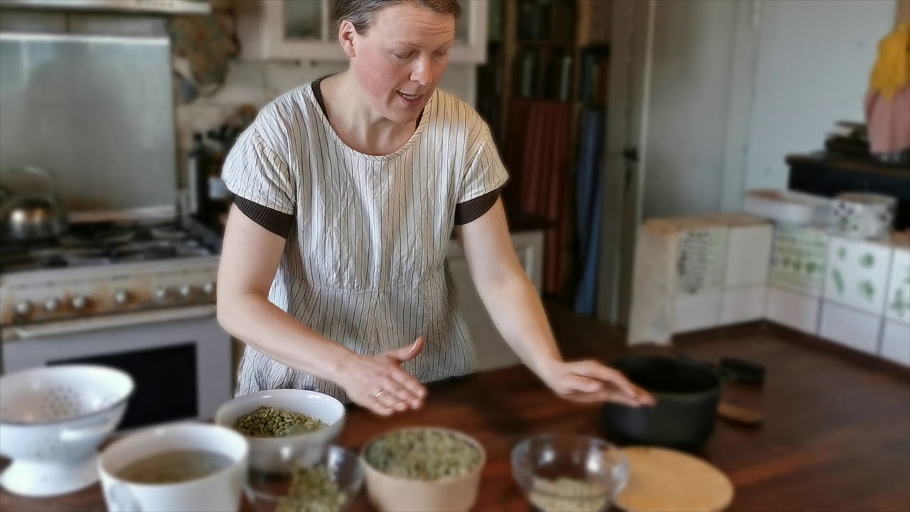 Sådan dyrker du ærteskud