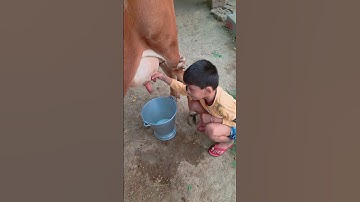 Thumbnail of small girl tytgtyt hf #love #song #funny
