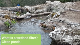 Pond design  what is a wetland filter?