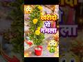 Fake Plant ya Real? 😳 Dekho Sach! #ytshorts #trending #viral #wedding #homedecor #unboxing #love