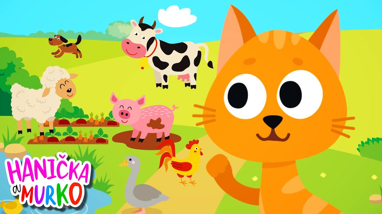 MAČIČKY - detské pesničky pre najmenších | Pesničky pre deti | Hanička a Murko | Animal songs | Kids